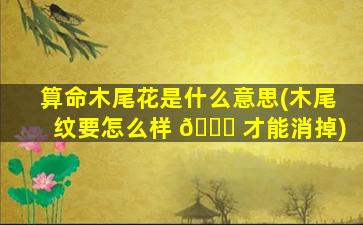 算命木尾花是什么意思(木尾纹要怎么样 🕊 才能消掉)